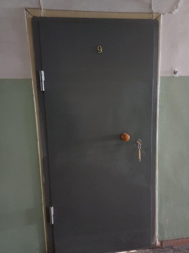Лот 4036654